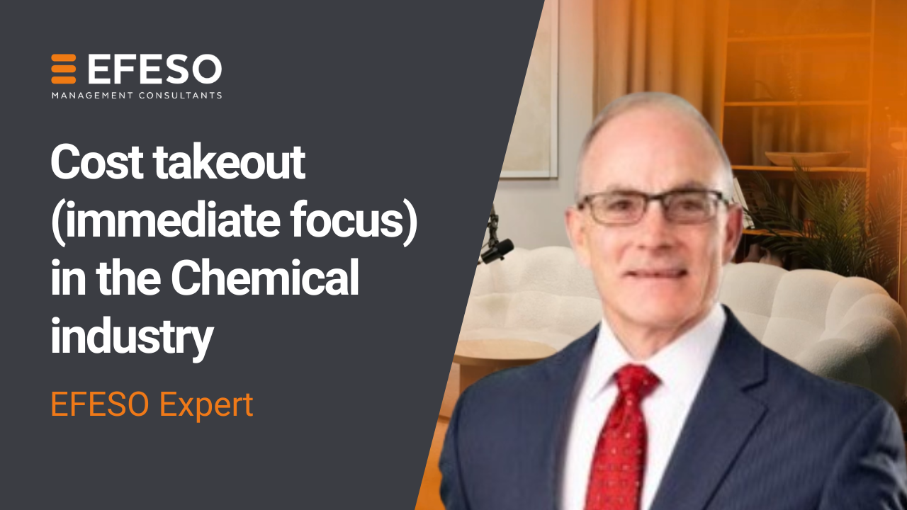 A man in a suit and red tie stands in an office setting. Text on the left reads: Cost takeout (immediate focus) in the Chemical industry. EFESO Expert. EFESO Management Consultants logo appears at the top. EFESO Management Consultants